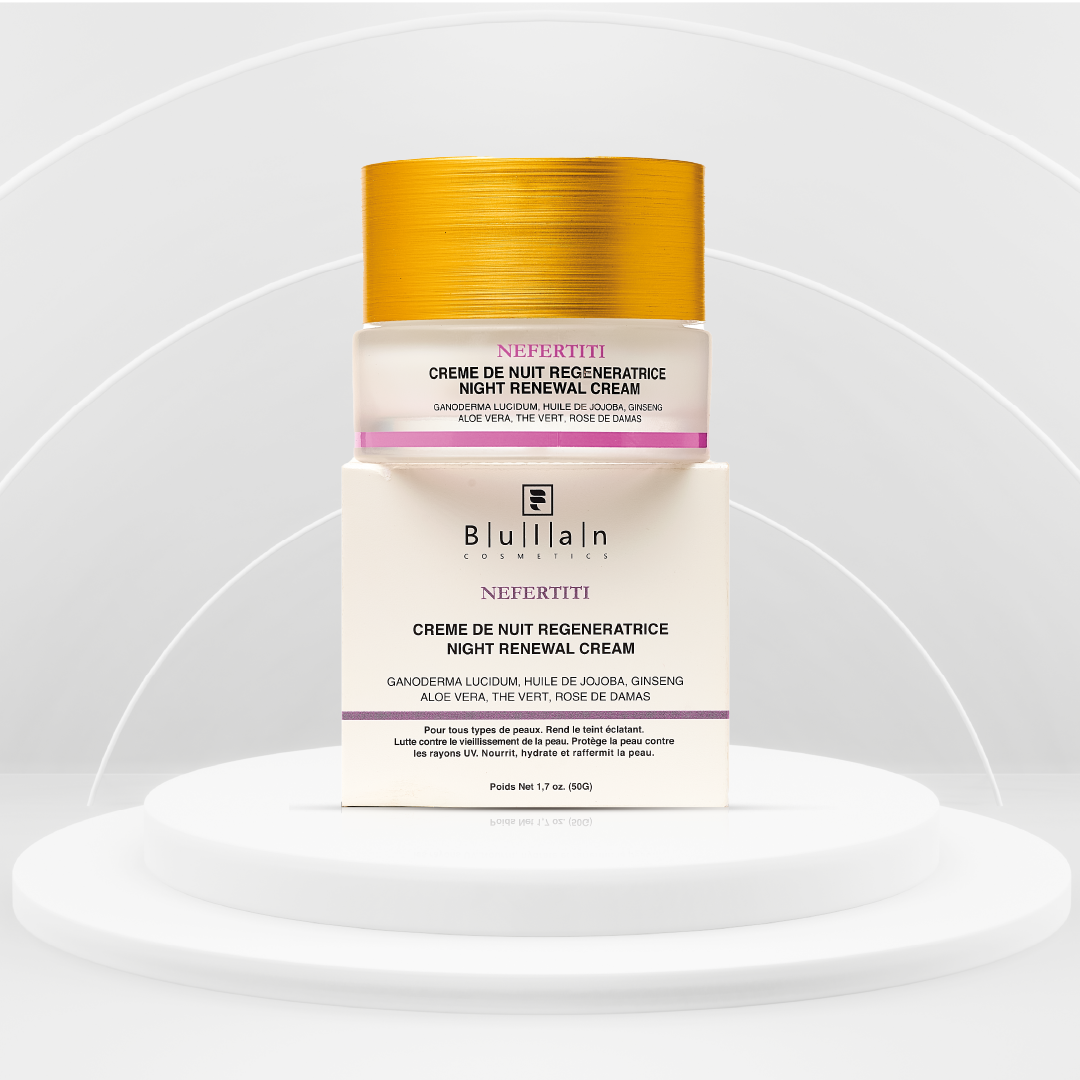 NEFERTITI vue principale